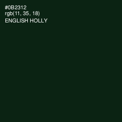 #0B2312 - English Holly Color Image